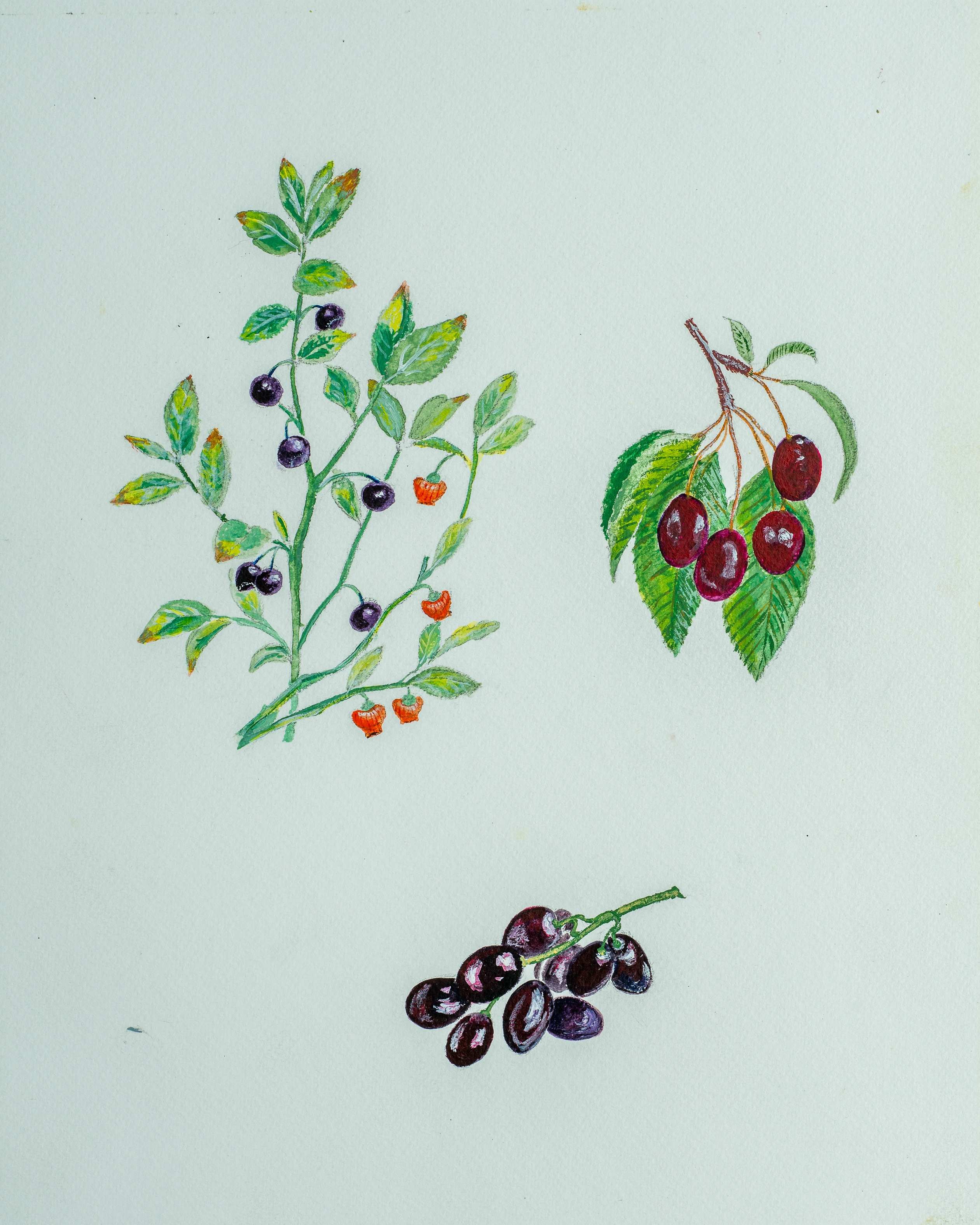 'Feed him with apricocks and dewberries, with purple grapes, green figs, and mulberries' — painting by Chris Brock