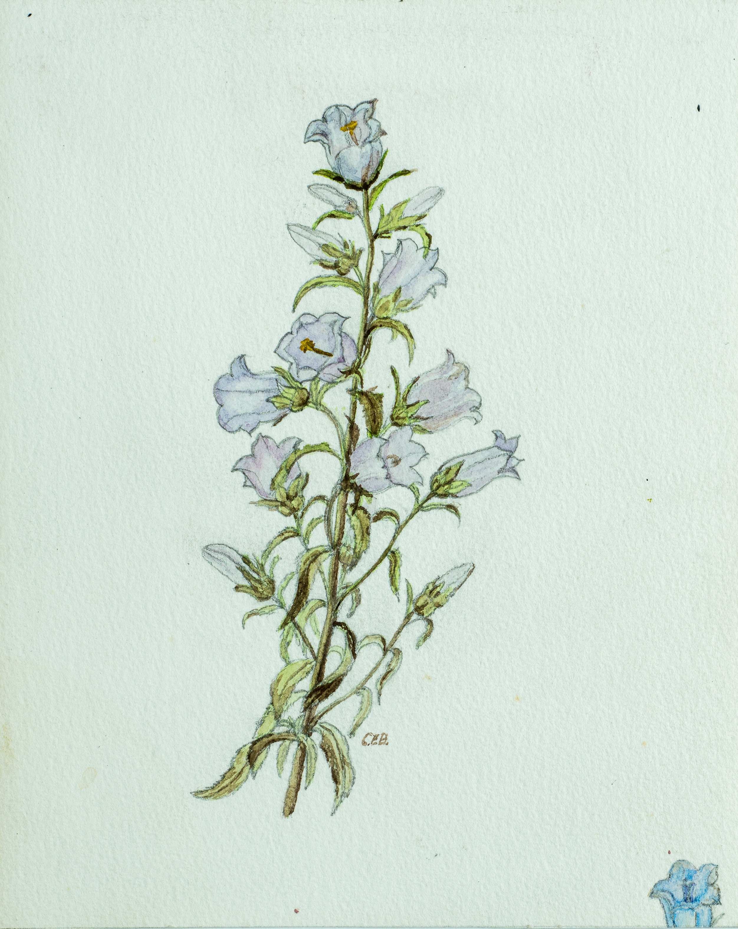 'And they shall fetch thee jewels from the deep, and sing while thou on pressed flowers dost sleep' — painting by Chris Brock