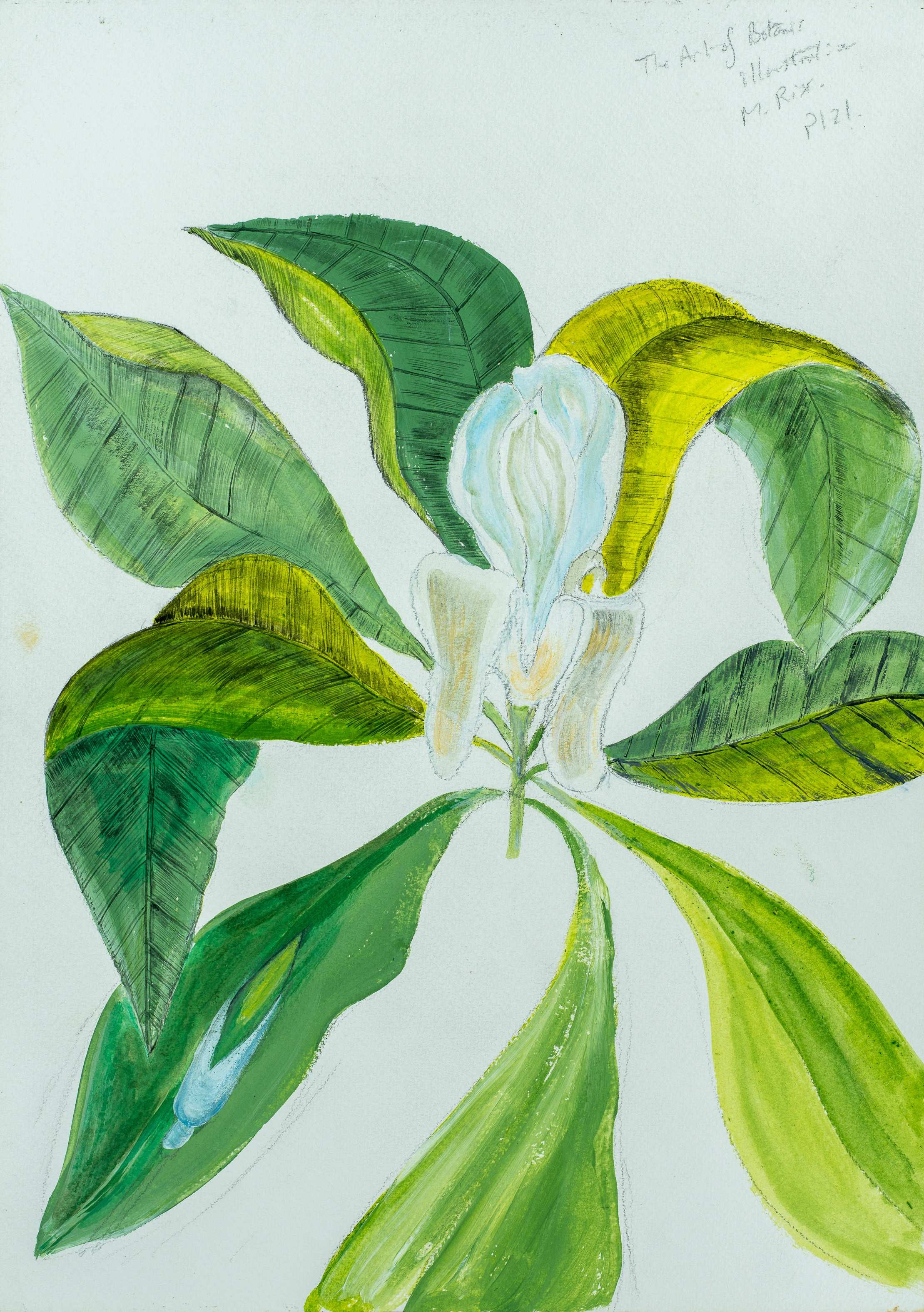 The voluptuousness of nature — painting by Chris Brock