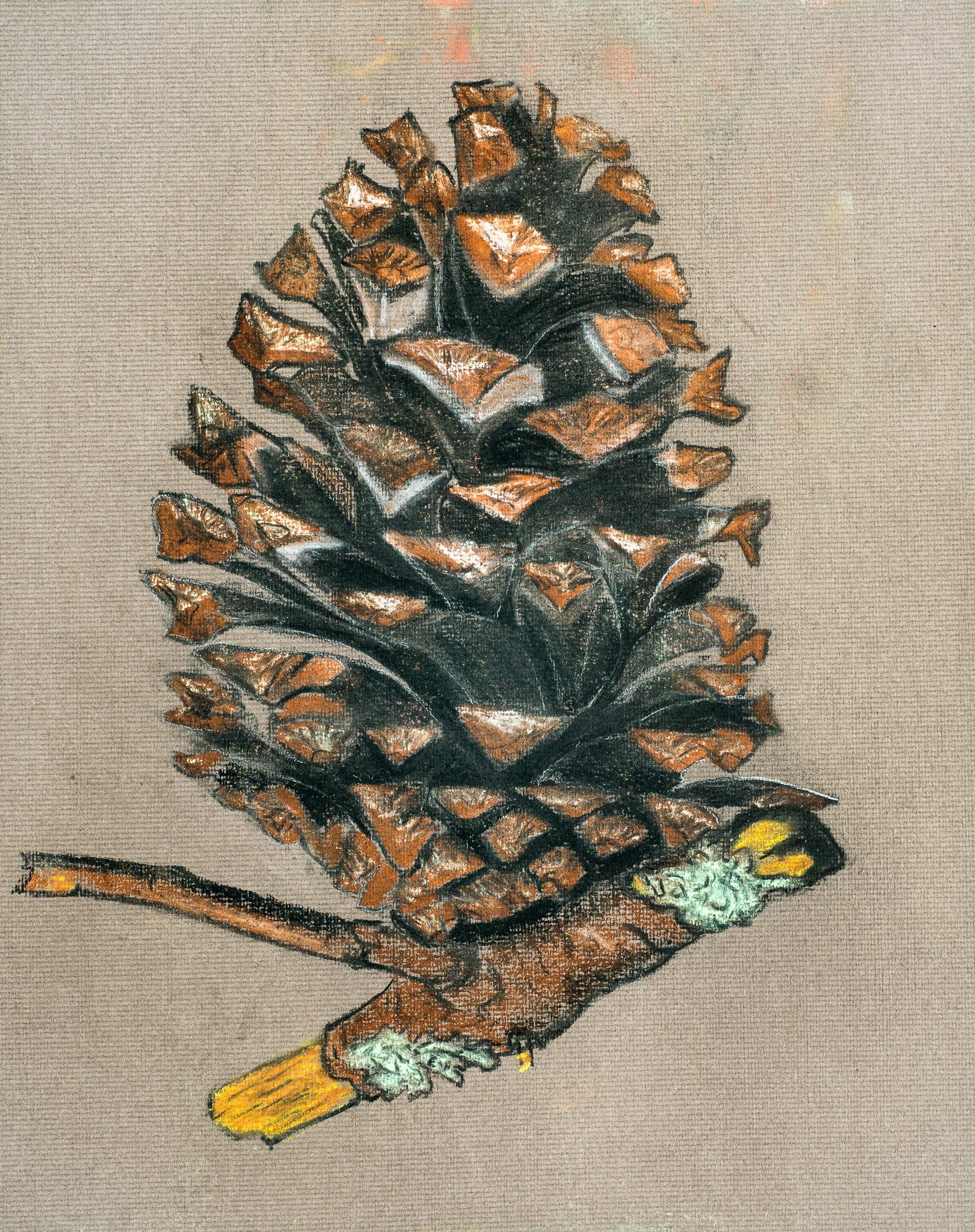 Fir cone study for “Titania Queen of the fairies falls in love with Bottom the Weaver” — painting by Chris Brock