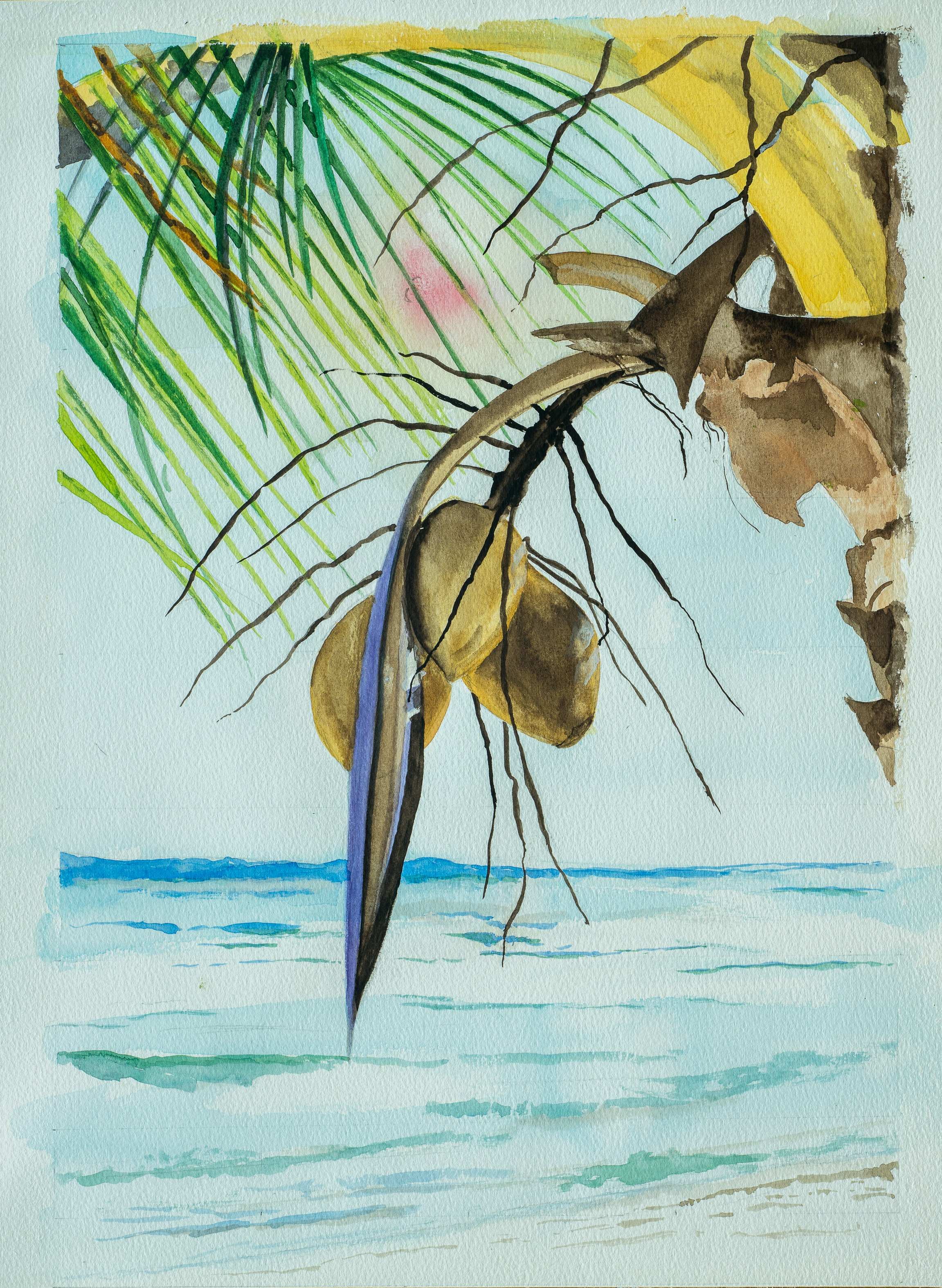 Coconuts on the beach, Turtle Nest Inn, Cayman Islands — painting by Chris Brock