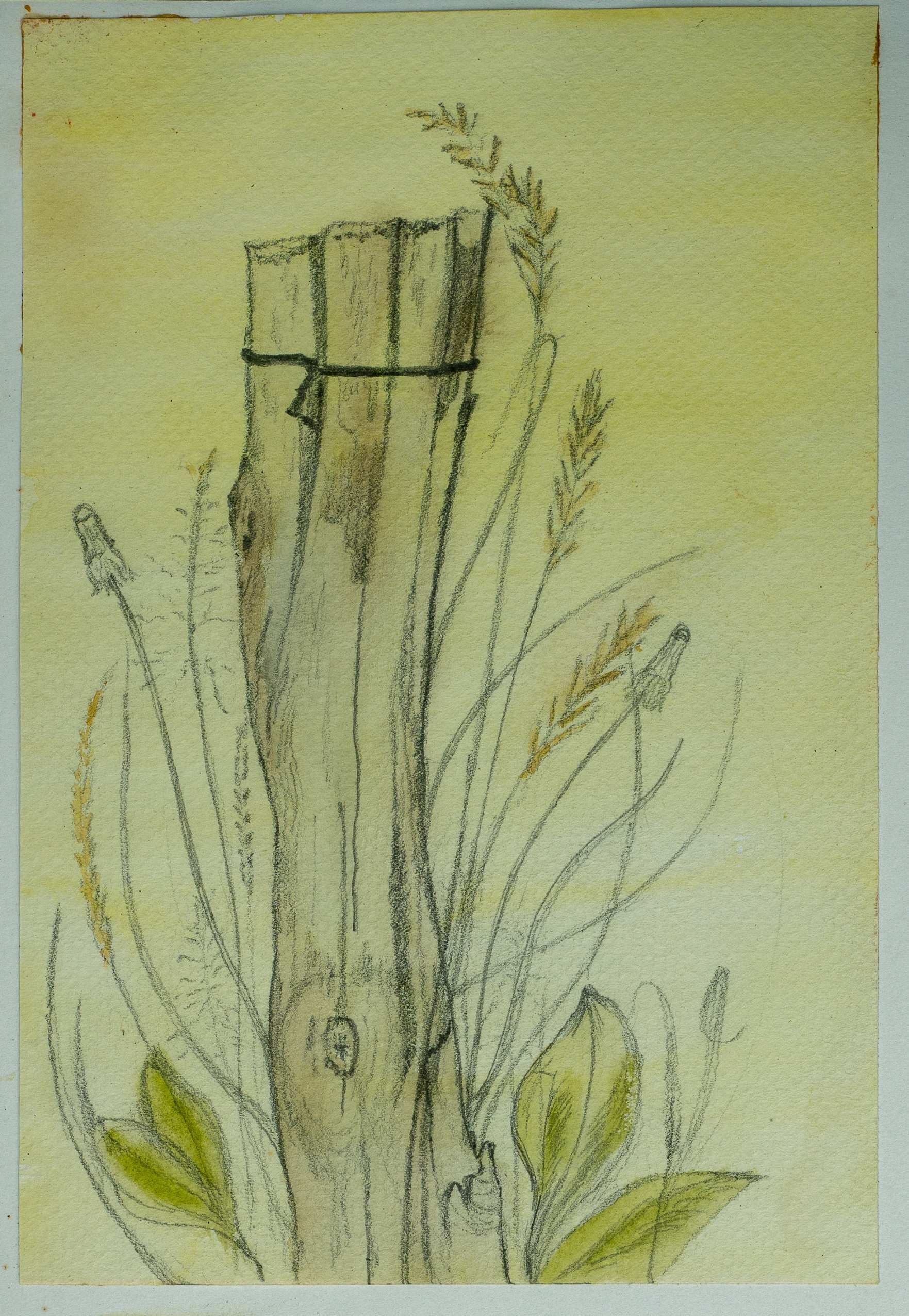 Tree Trunk with wheat — painting by Chris Brock